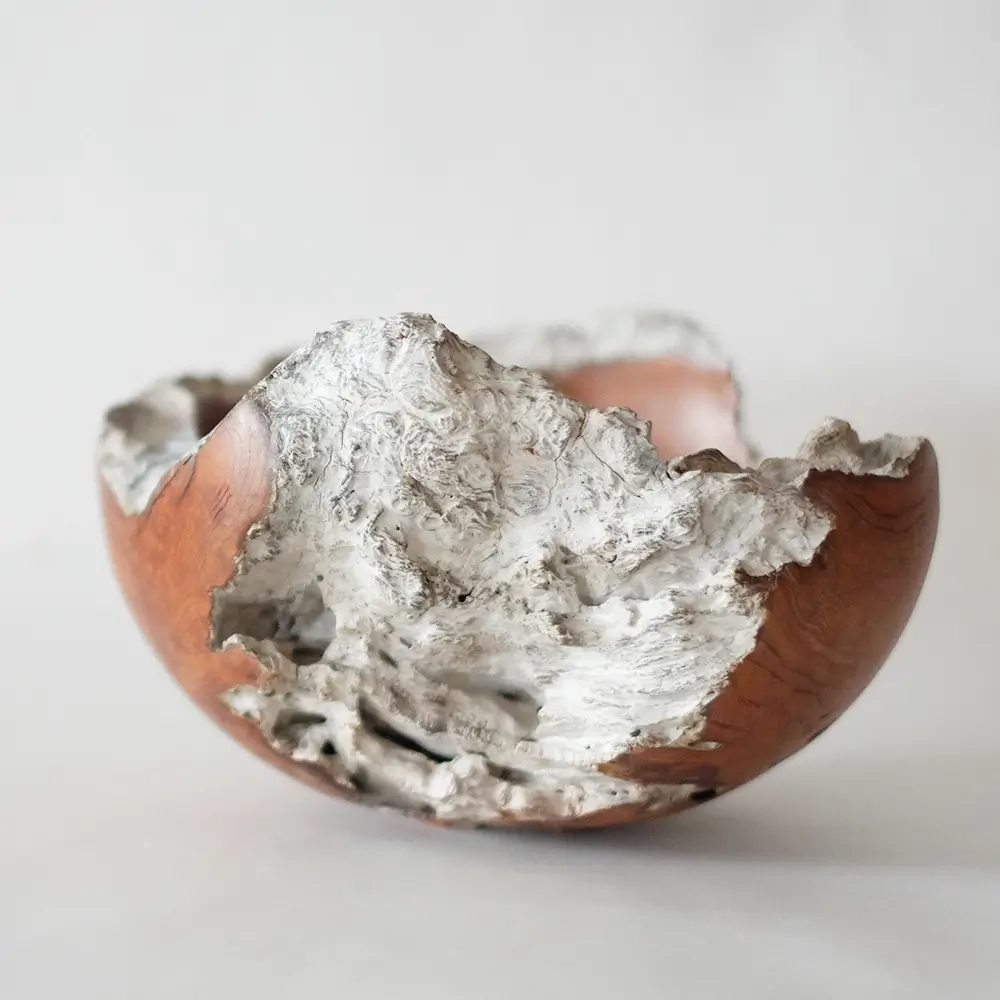 Wooden Bowl '栂瘤・漆塗り'｜西 優樹｜インテリア雑貨のオンライン